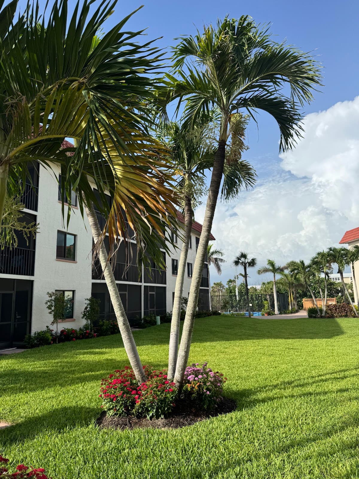 Sandalfoot Beachfront Condominium — photo 5
