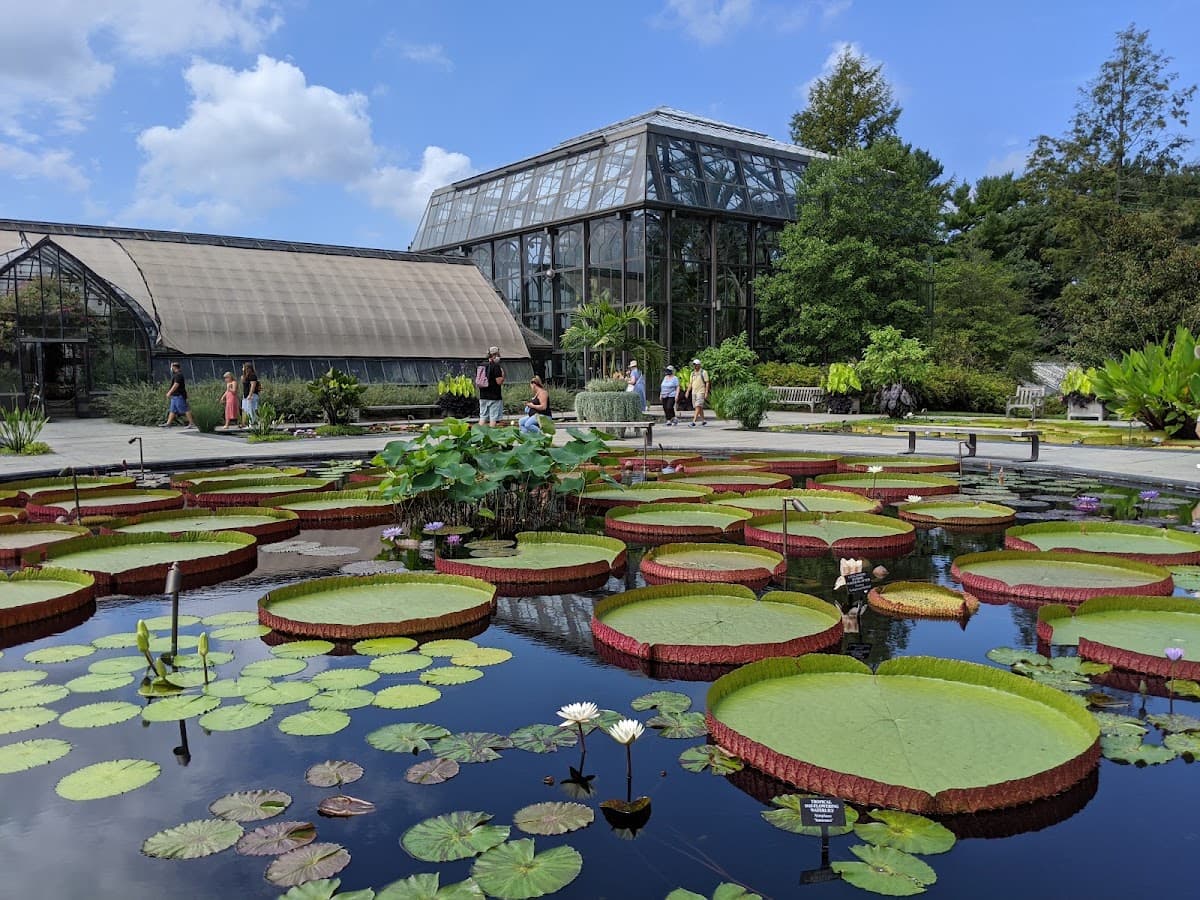 Longwood Gardens — photo 5