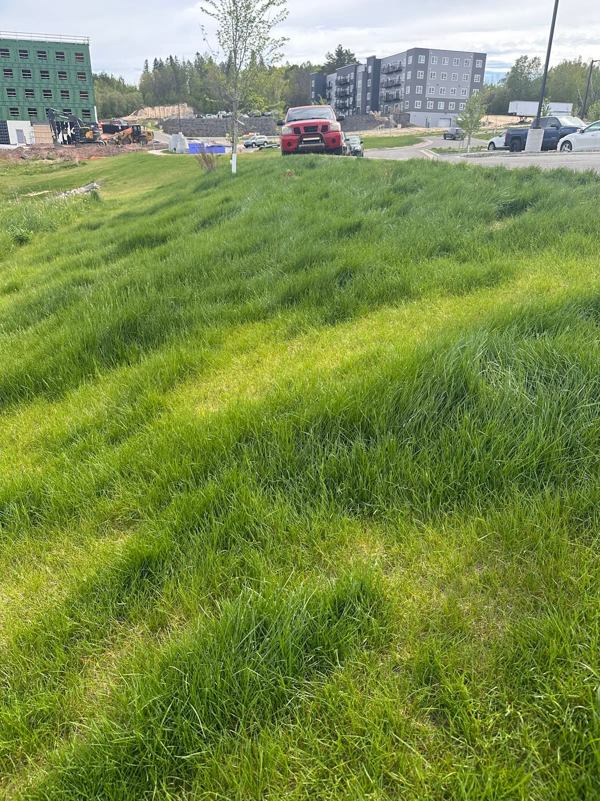 The Acres on Arrowhead — photo 3