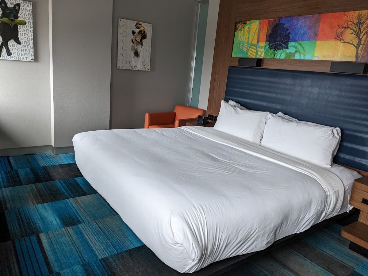 Aloft by Marriott Greenville Downtown — photo 2