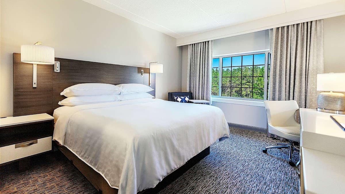 Sheraton Jacksonville Hotel — photo 2