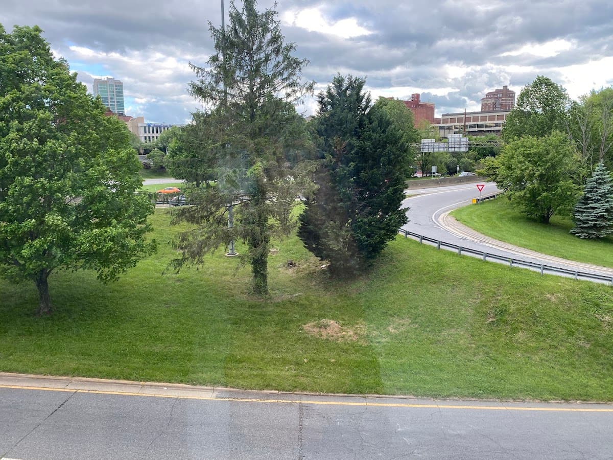 TownePlace Suites by Marriott Asheville Downtown