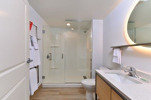 TownePlace Suites by Marriott Asheville Downtown — photo 3