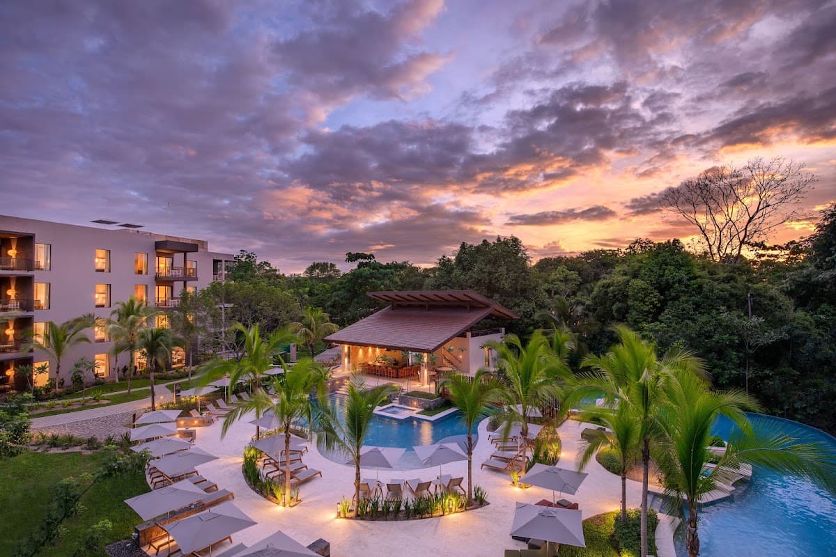 Botanika Osa Peninsula, Curio Collection by Hilton — photo 5