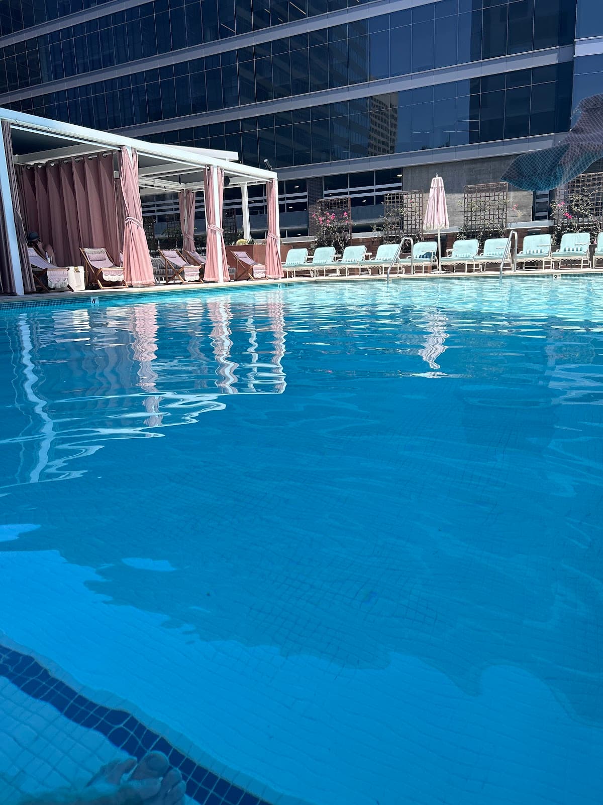 Kimpton Hotel Palomar Phoenix — photo 3