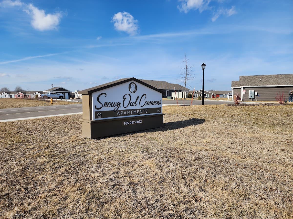 Snowy Owl Commons — photo 4