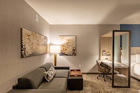 SpringHill Suites by Marriott Dallas McKinney/Allen — photo 2