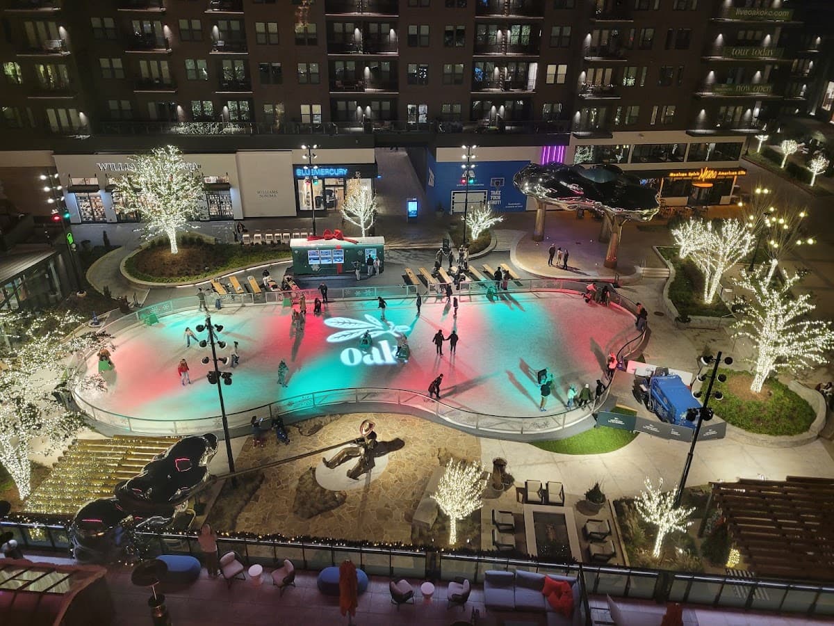 Lively Hotel on OAK — photo 3