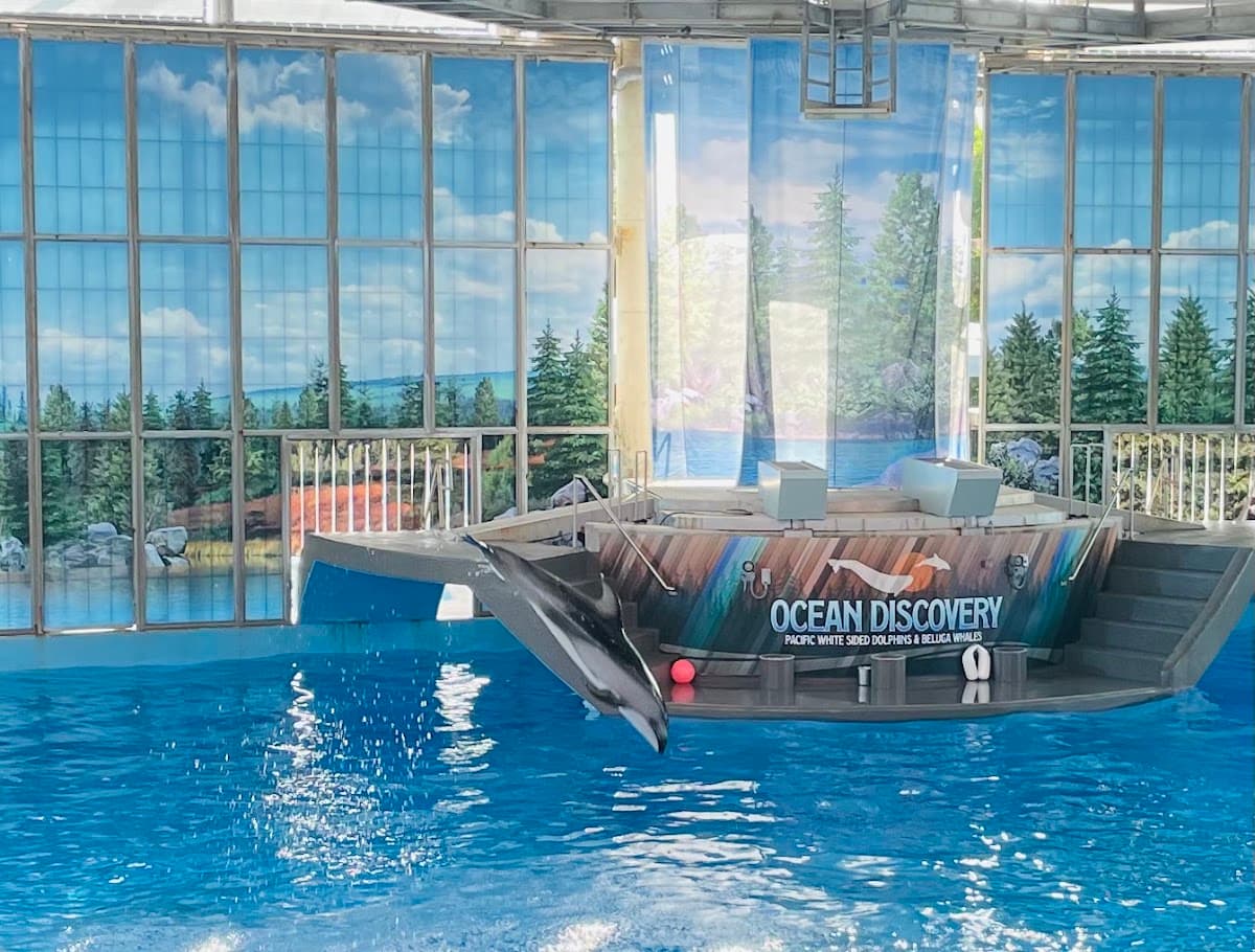 Tru by Hilton San Antonio Lackland SeaWorld — photo 3