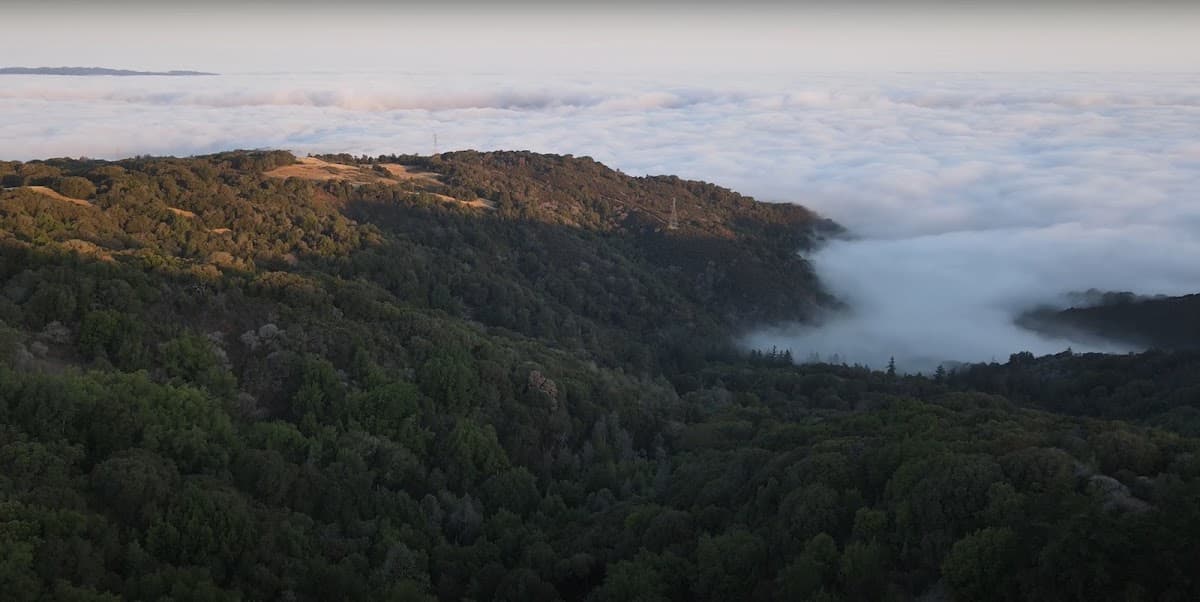 Santa Cruz Mountains — photo 2