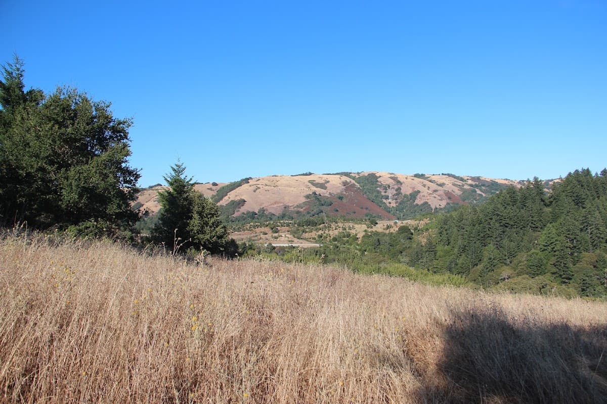 Santa Cruz Mountains — photo 4