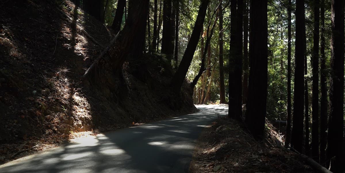 Santa Cruz Mountains — photo 5