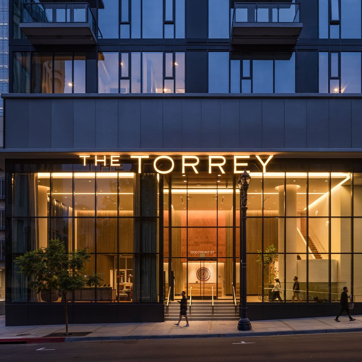 The Torrey