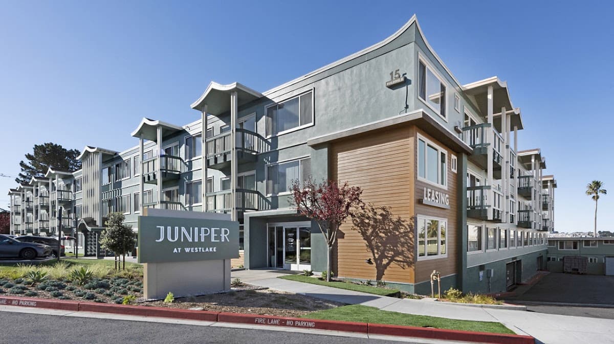 Juniper — photo 1