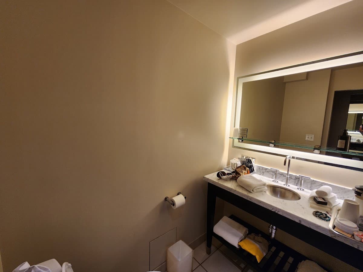 THE MIDLAND HOTEL, Chicago, a Tribute Portfolio Hotel — photo 3