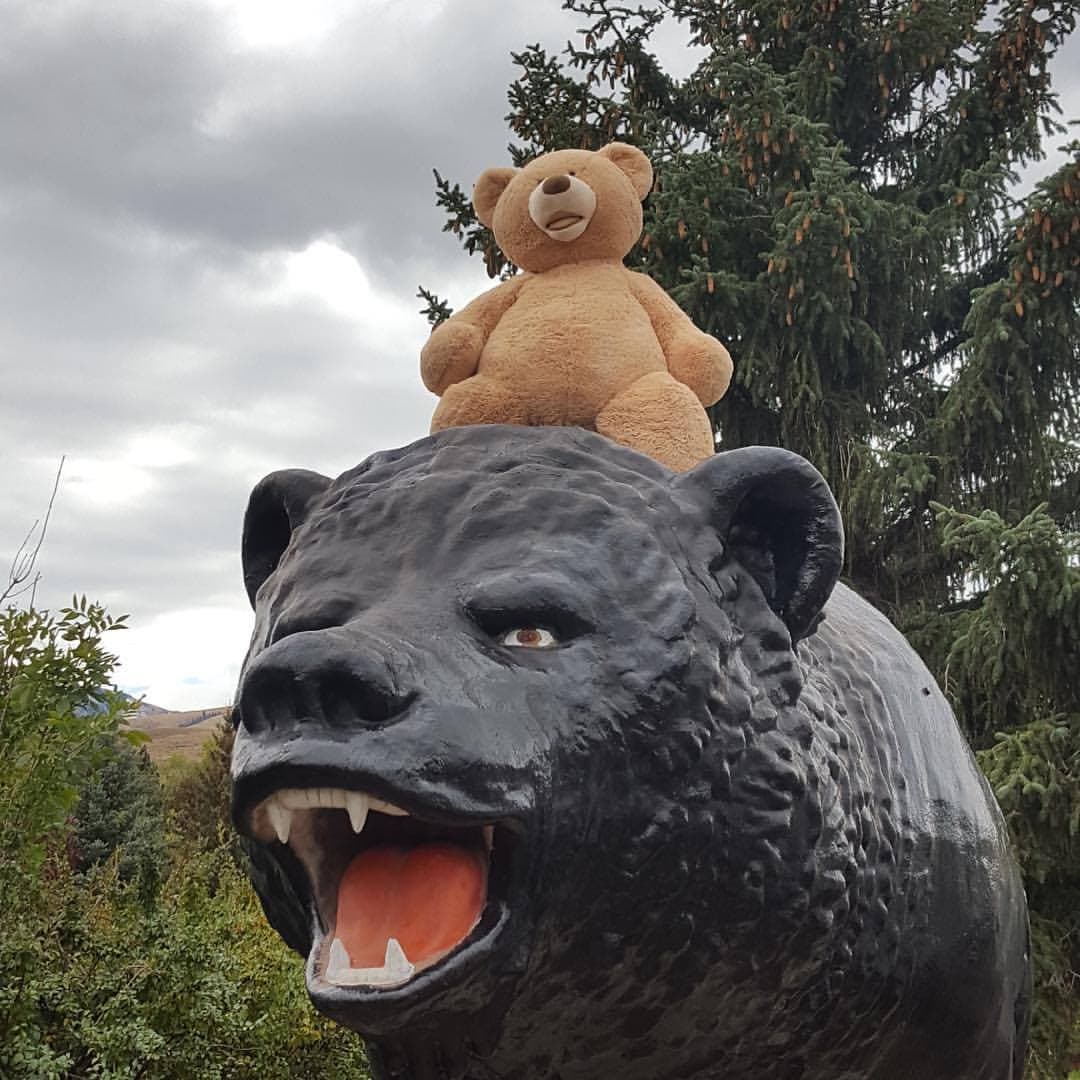 The Black Bear Inn