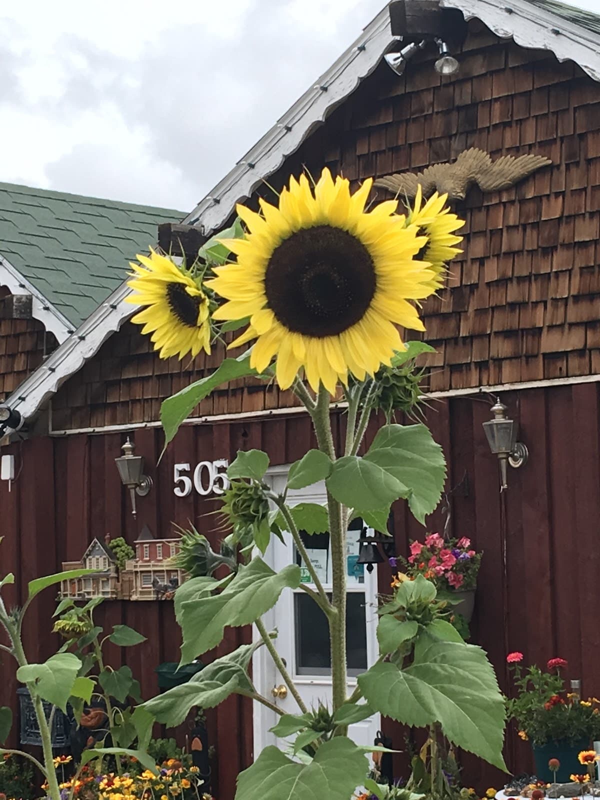 The Black Bear Inn — photo 5