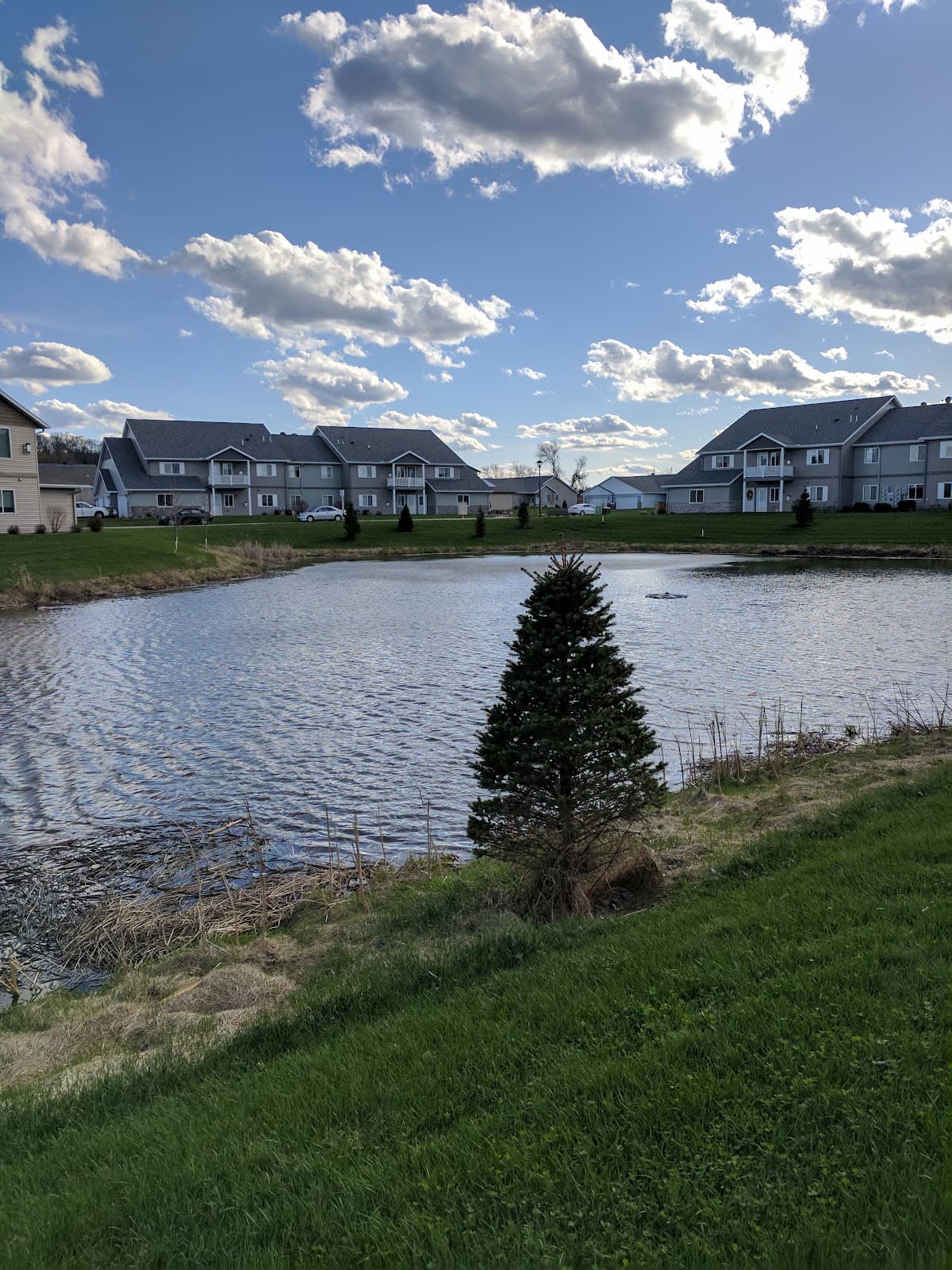 Prairie Park — photo 4