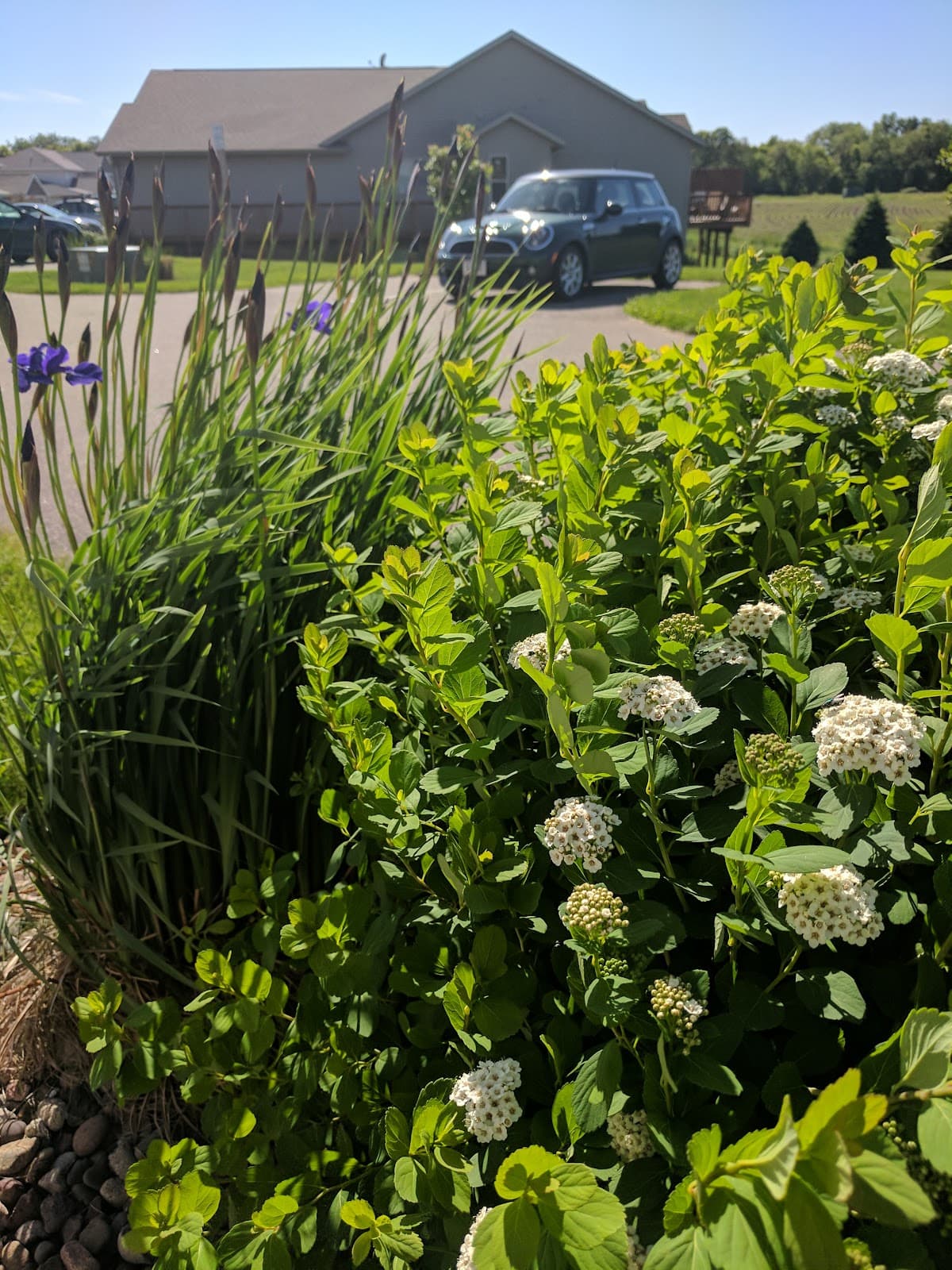 Prairie Park — photo 5