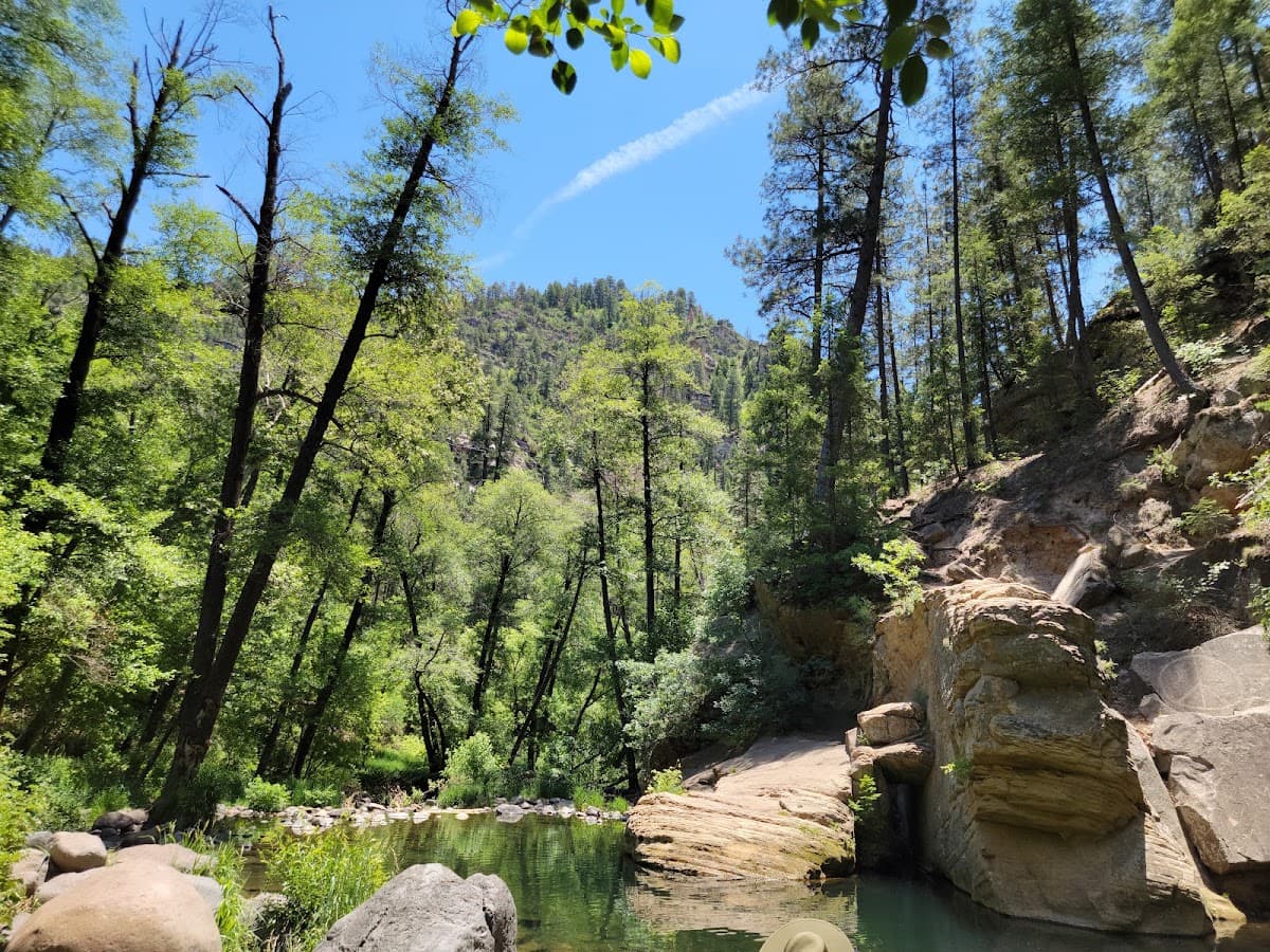 Cave Springs Campground — photo 2
