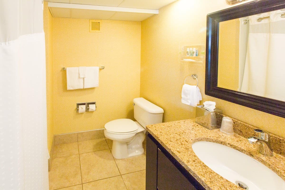 Holiday Inn Sioux Falls-City Centre by IHG — photo 4