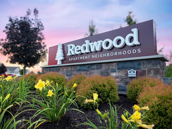 Redwood Aurora