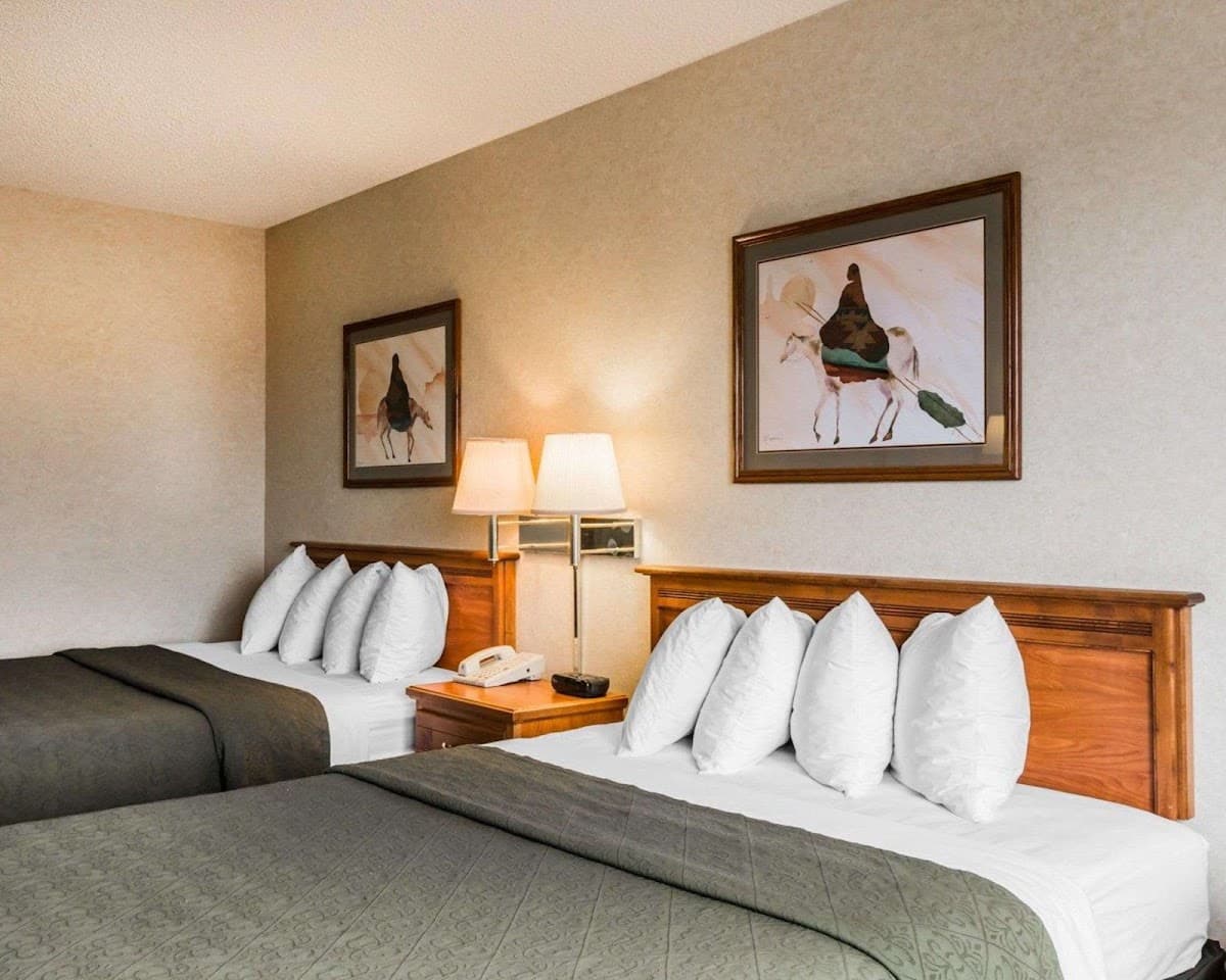 Quality Inn & Suites Montrose - Black Canyon Area — photo 2