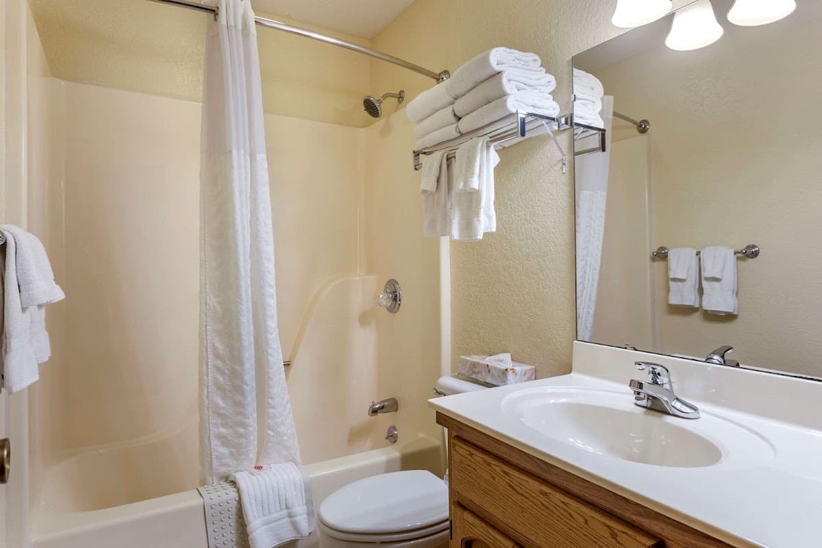 Comfort Inn & Suites Branson Meadows — photo 4