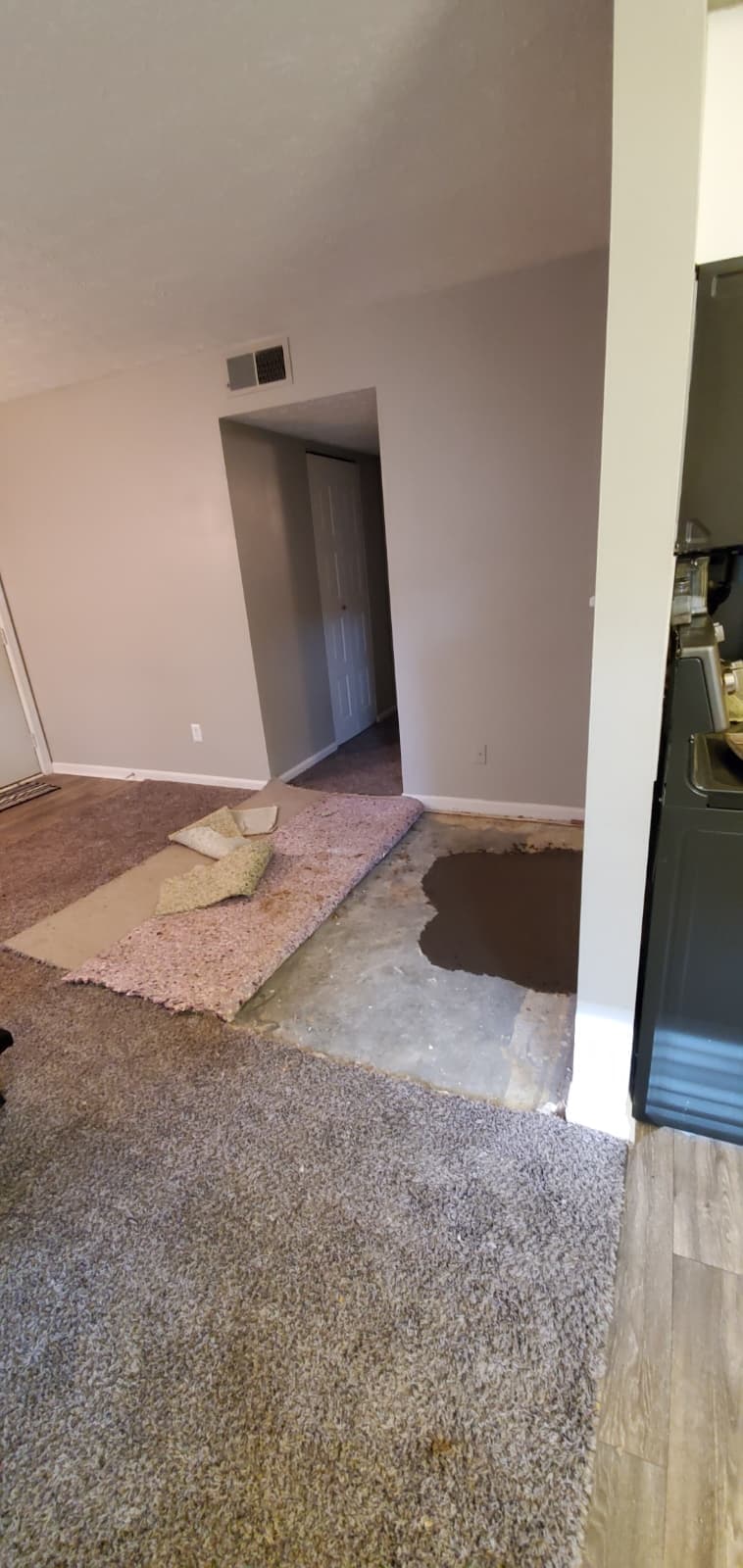 The Monarch Apartments — photo 5