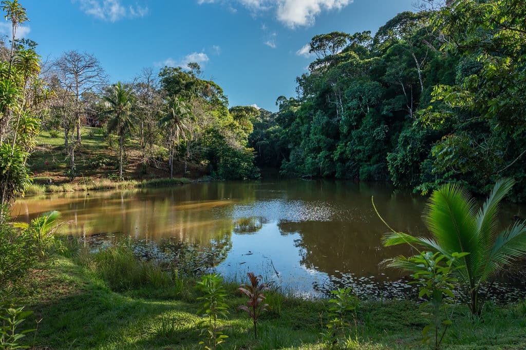 La Laguna del Lagarto Eco-Lodge — photo 4