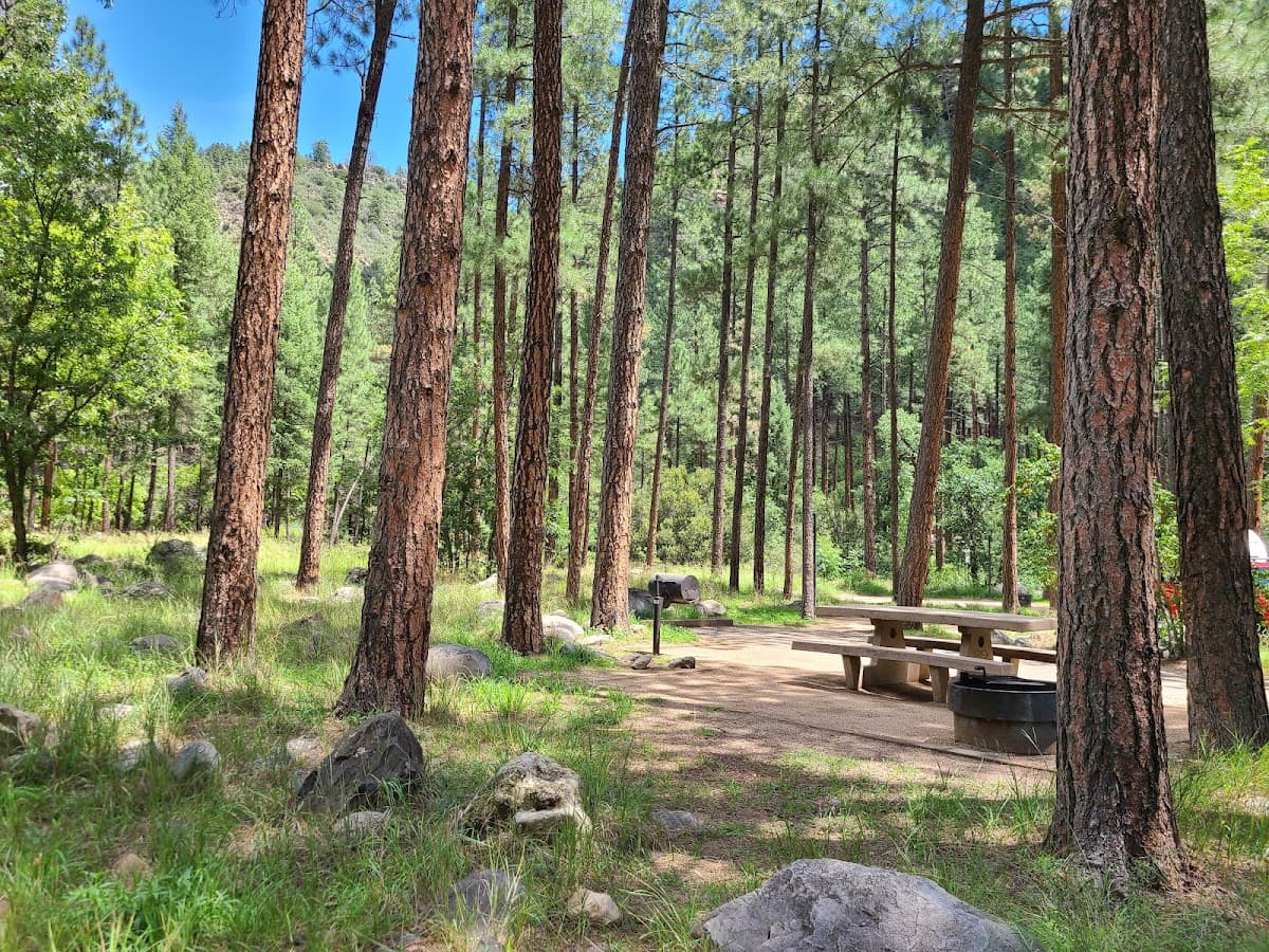 Pine Flat Campground — photo 2