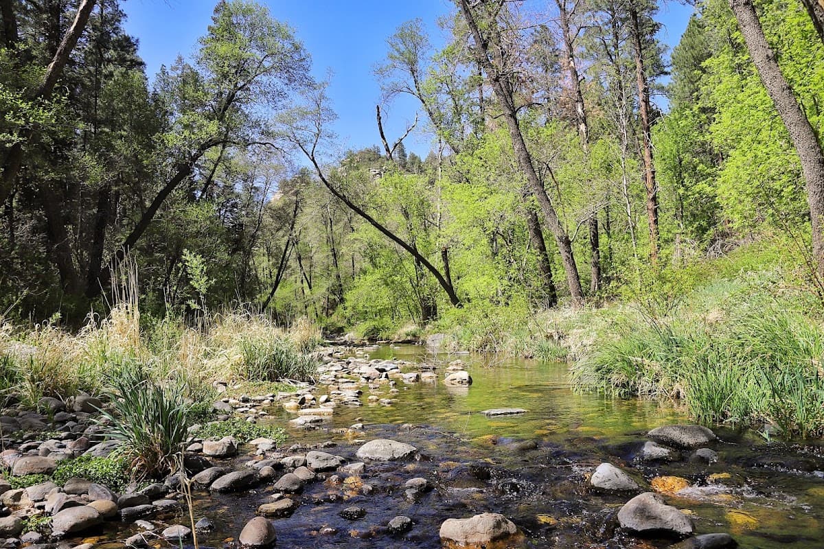 Pine Flat Campground — photo 5