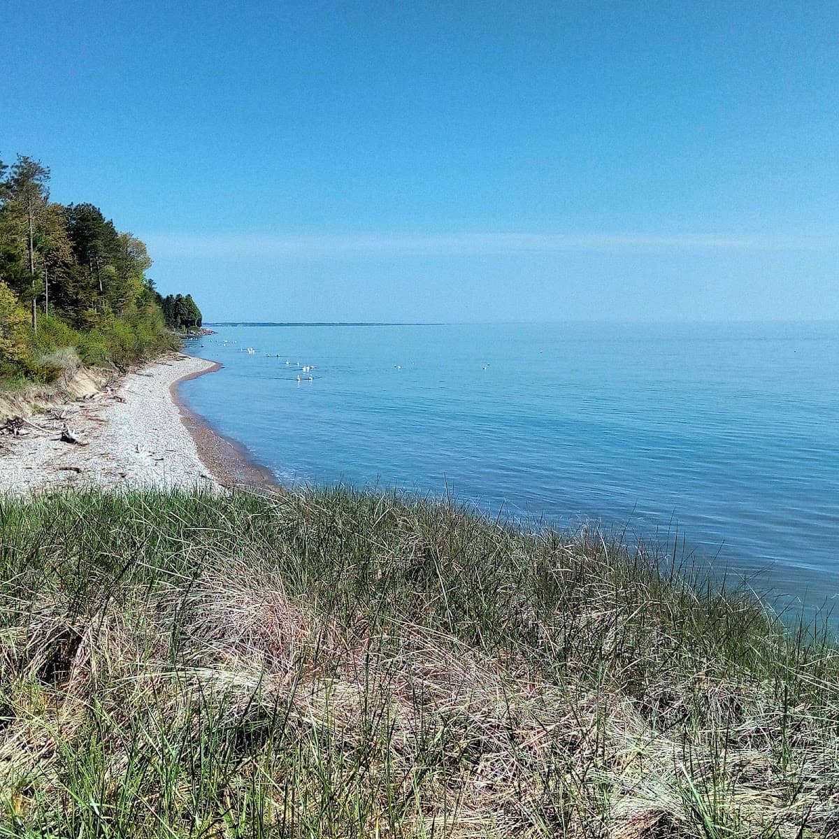 Point Beach State Forest — photo 2