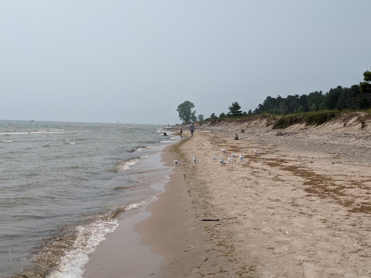 Point Beach State Forest — photo 3