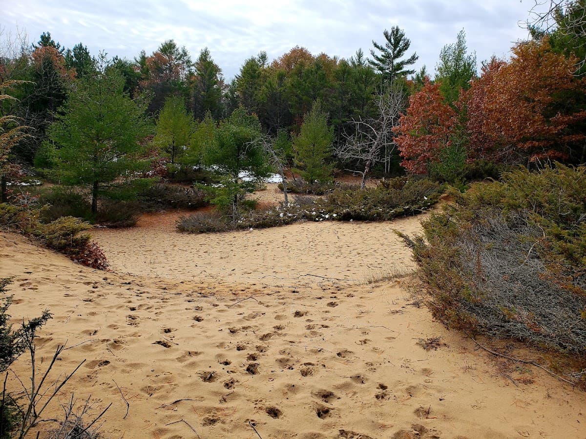 Point Beach State Forest — photo 4