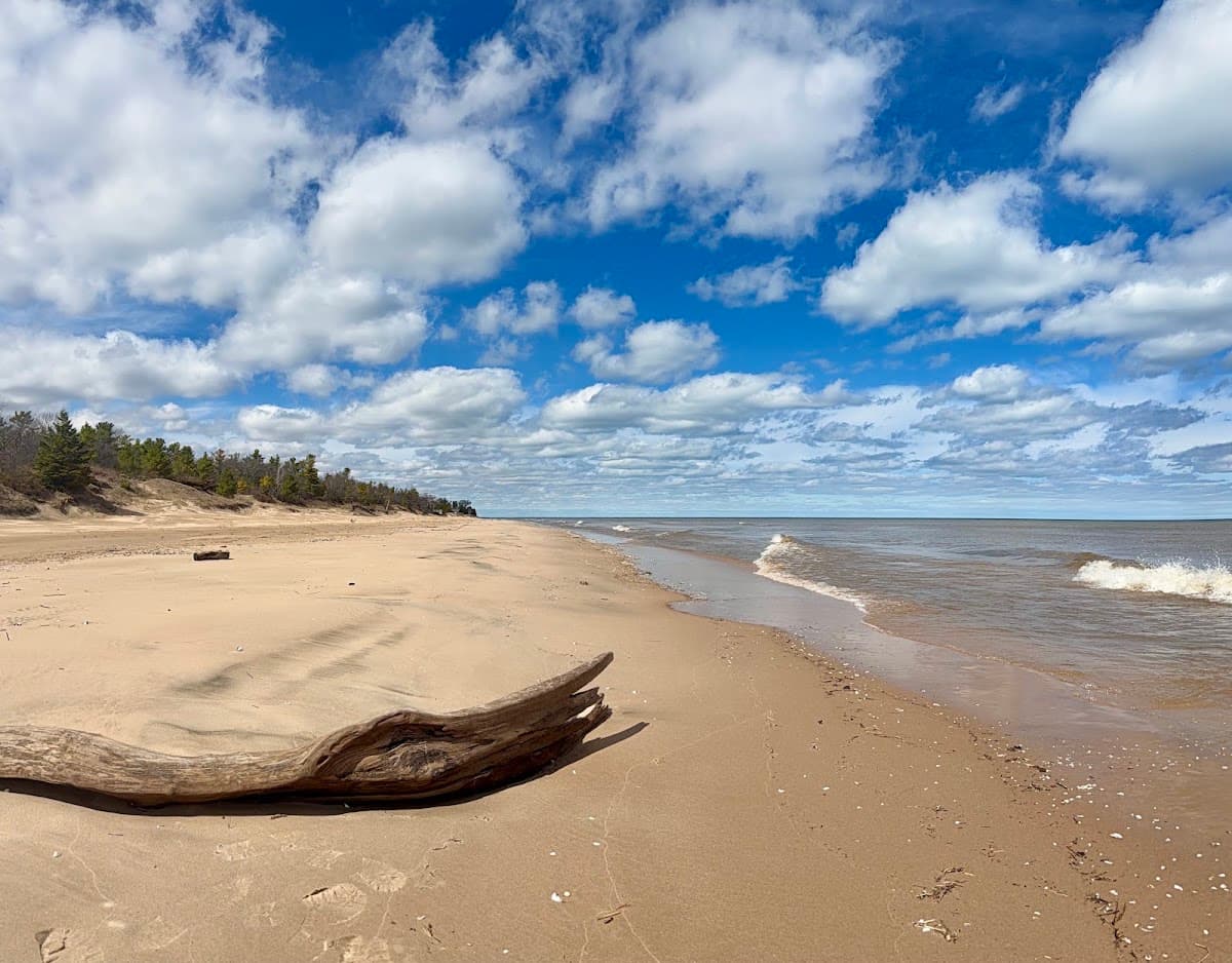 Point Beach State Forest — photo 5