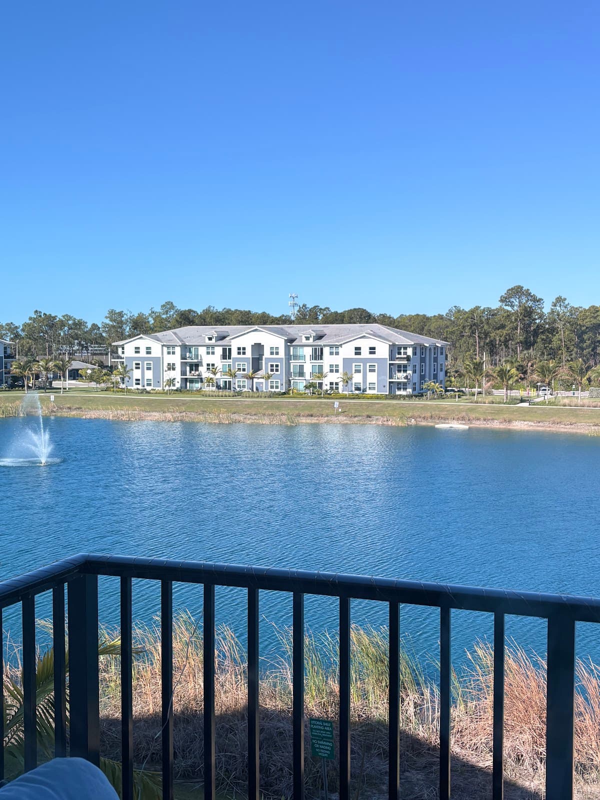 Everly Apartments — photo 2