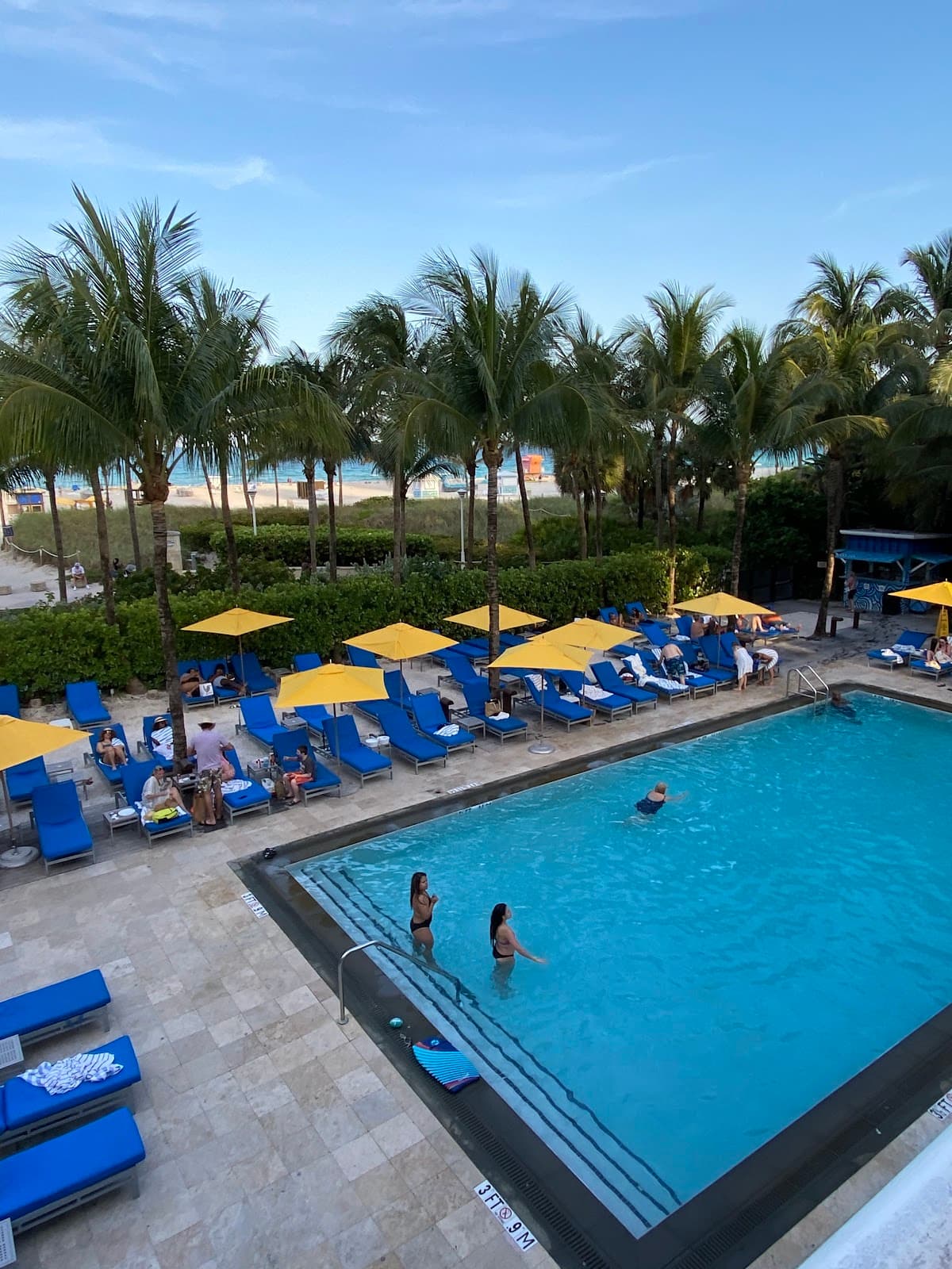 Royal Palm South Beach Miami, a Tribute Portfolio Resort — photo 3