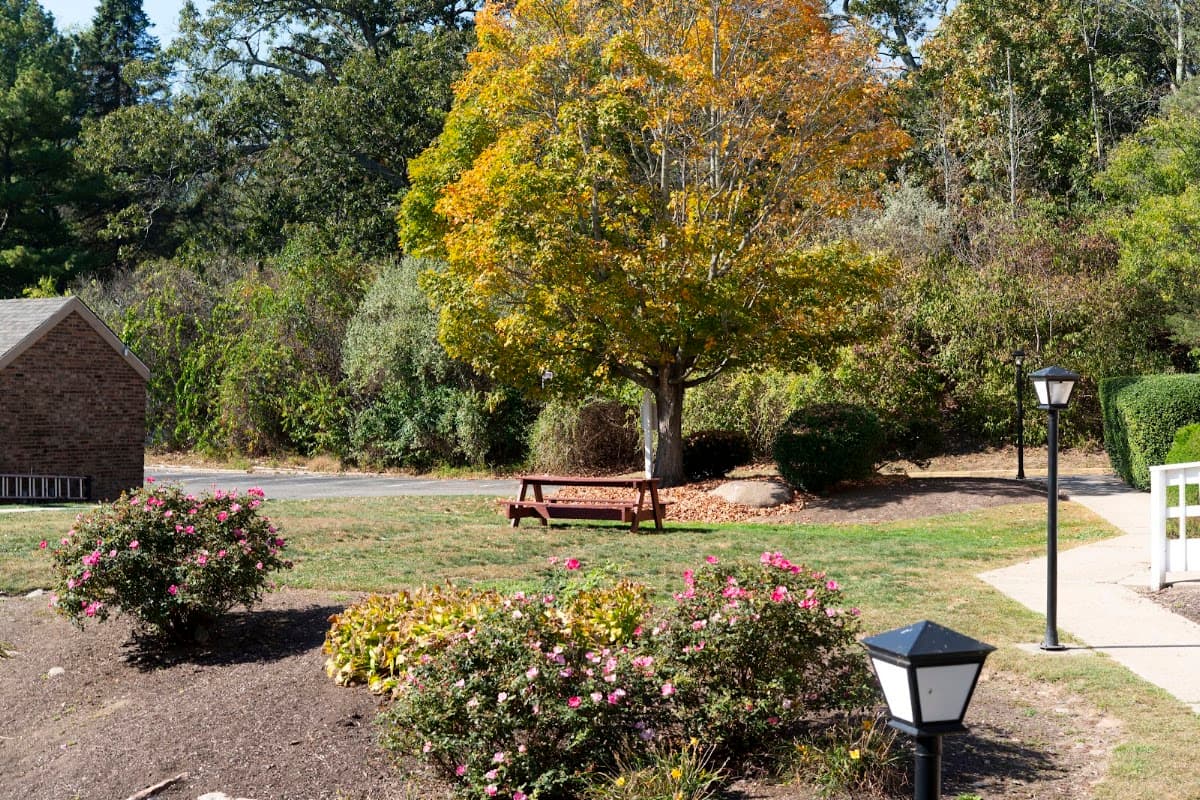 The Shelton Grove — photo 5