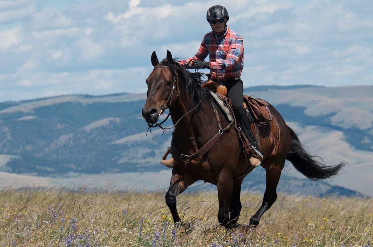 Bonanza Creek Ranch Montana — photo 4