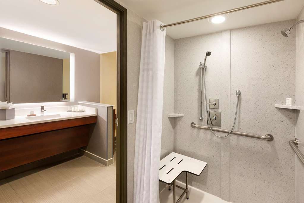 Embassy Suites by Hilton Atlanta Airport — photo 4