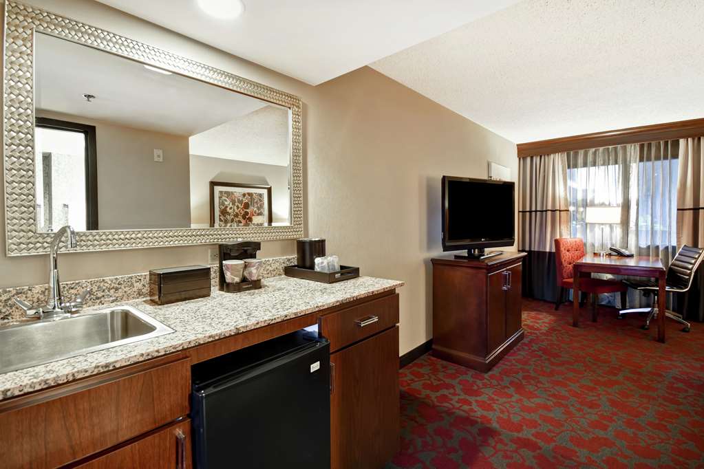 Embassy Suites by Hilton Dulles Airport — photo 5