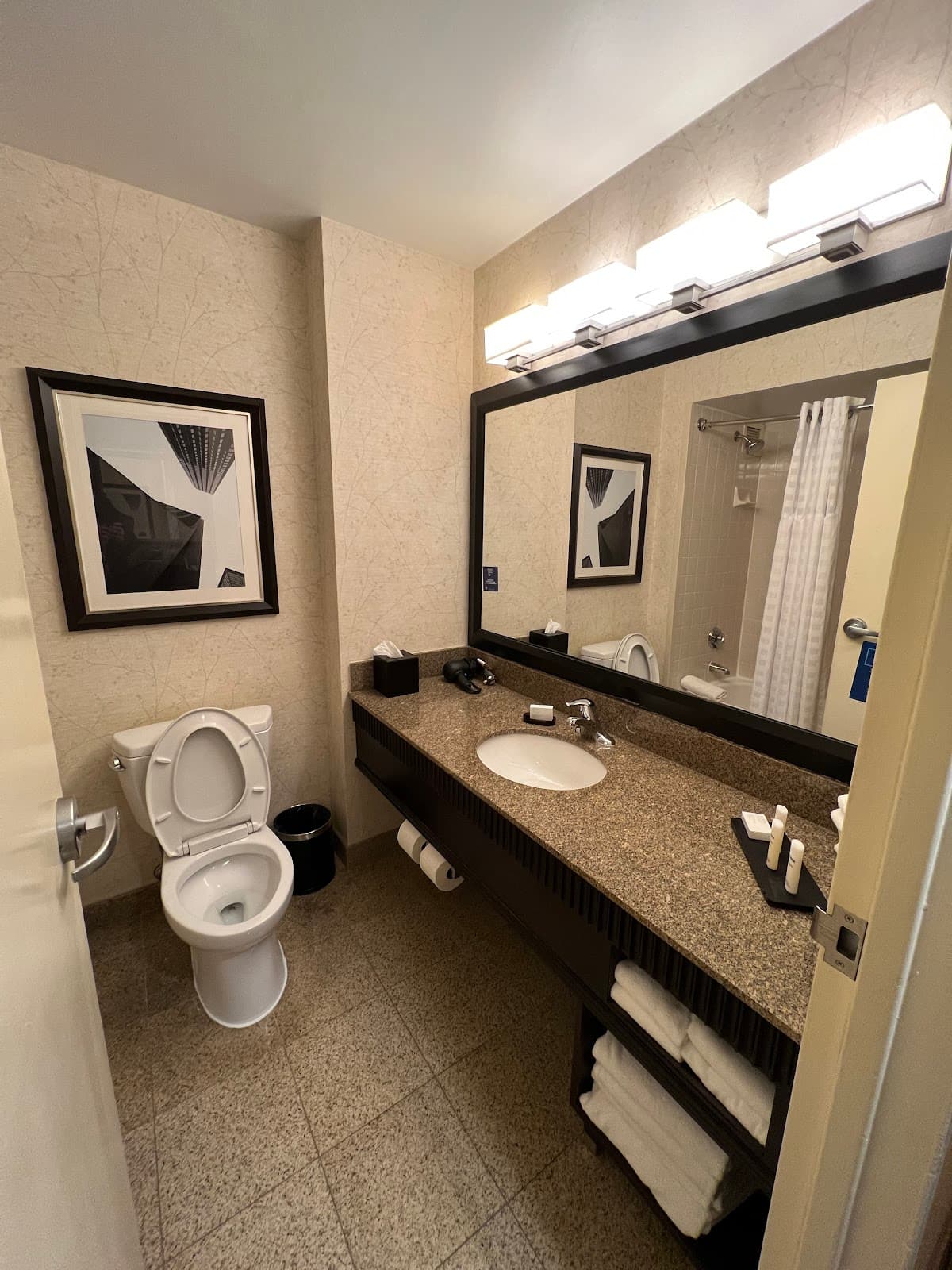 Embassy Suites by Hilton Chicago Downtown River North — photo 3