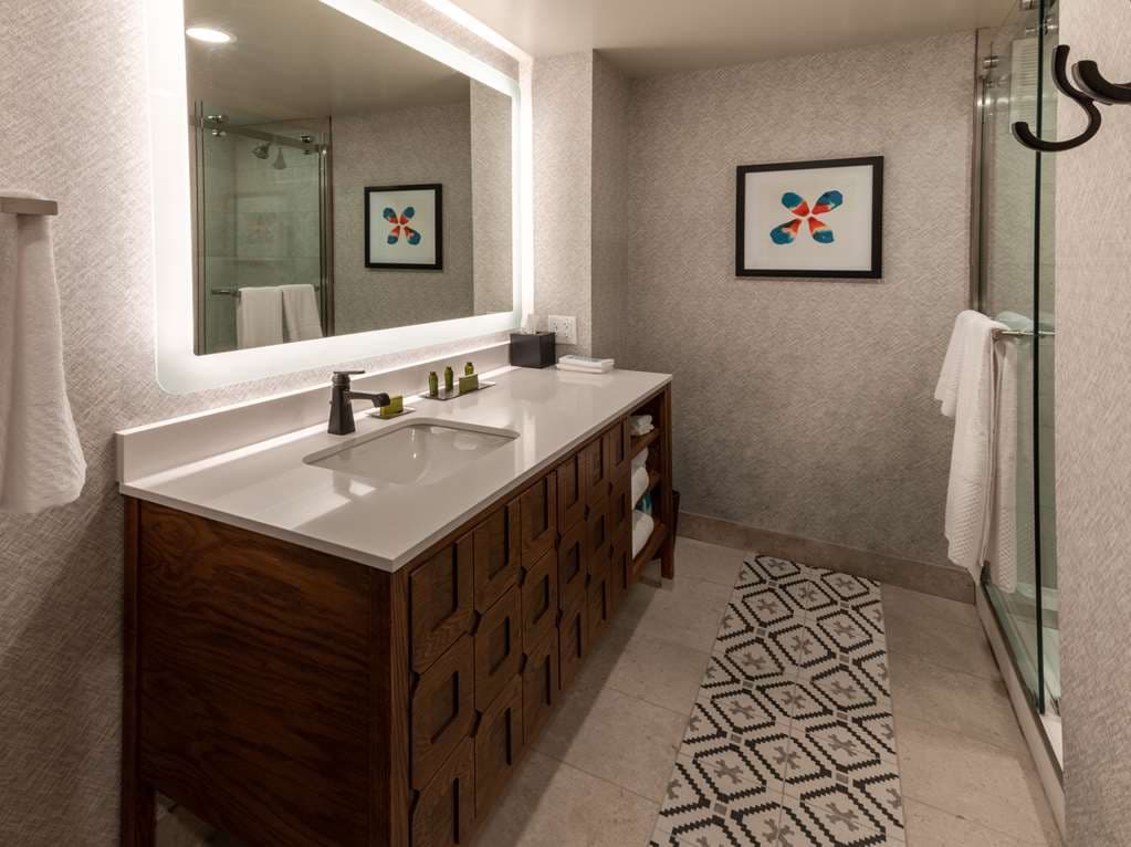 Estancia del Norte San Antonio, Tapestry Collection by Hilton — photo 5