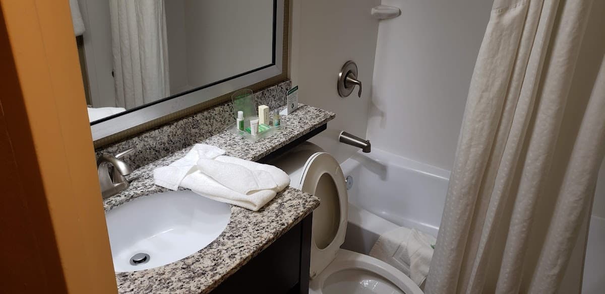 Holiday Inn Alexandria - Carlyle by IHG — photo 4