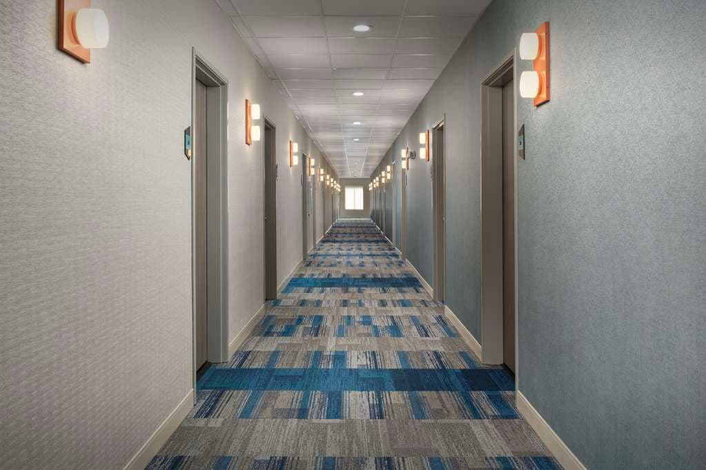 Home2 Suites by Hilton Flower Mound Dallas — photo 5