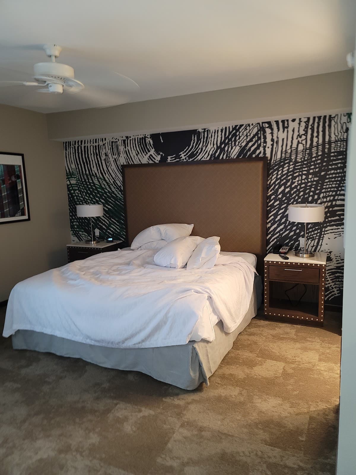 Homewood Suites by Hilton Austin Downtown — photo 2