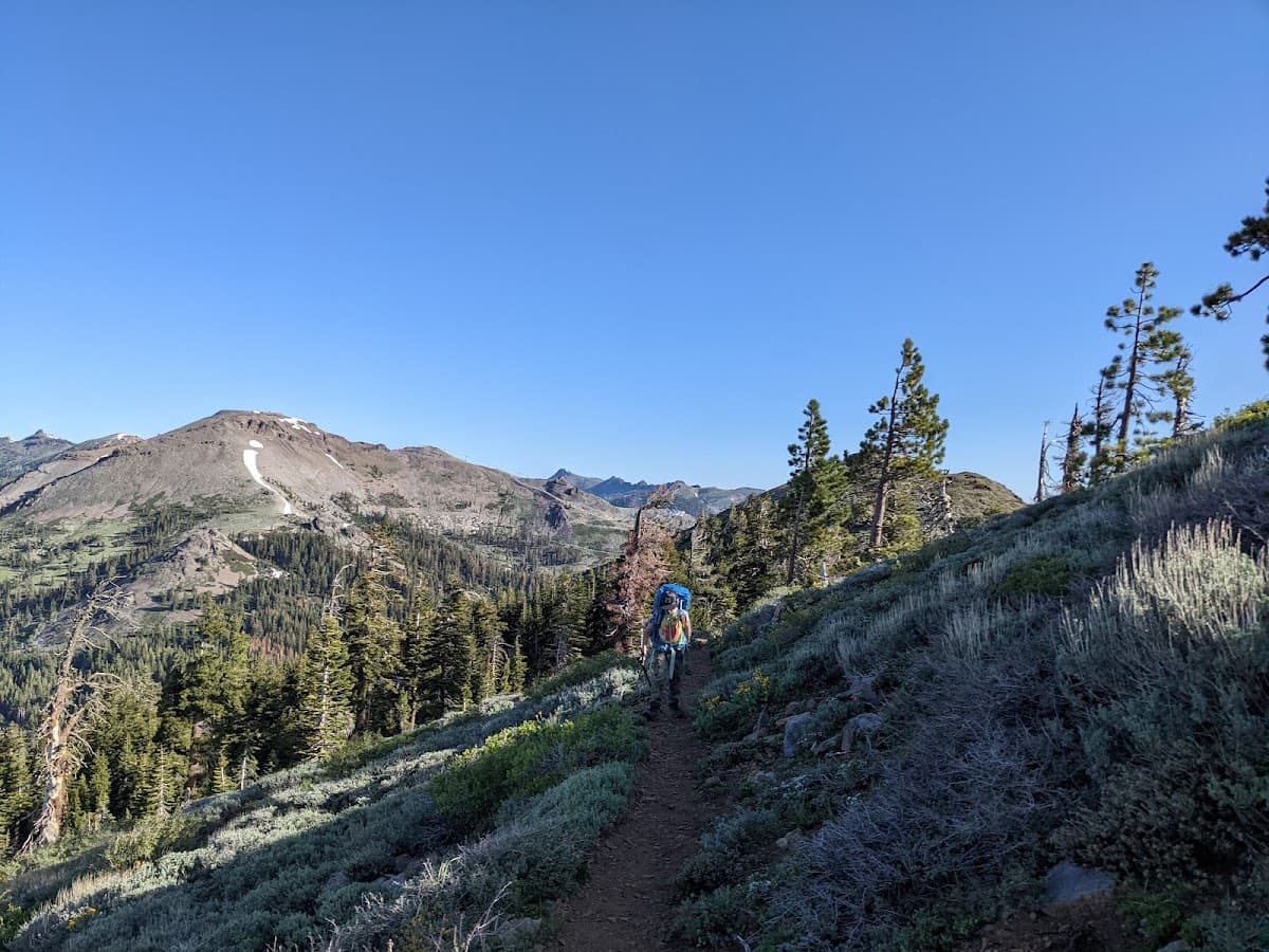 Palisades Tahoe — photo 5