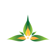 Absolute Health AZ