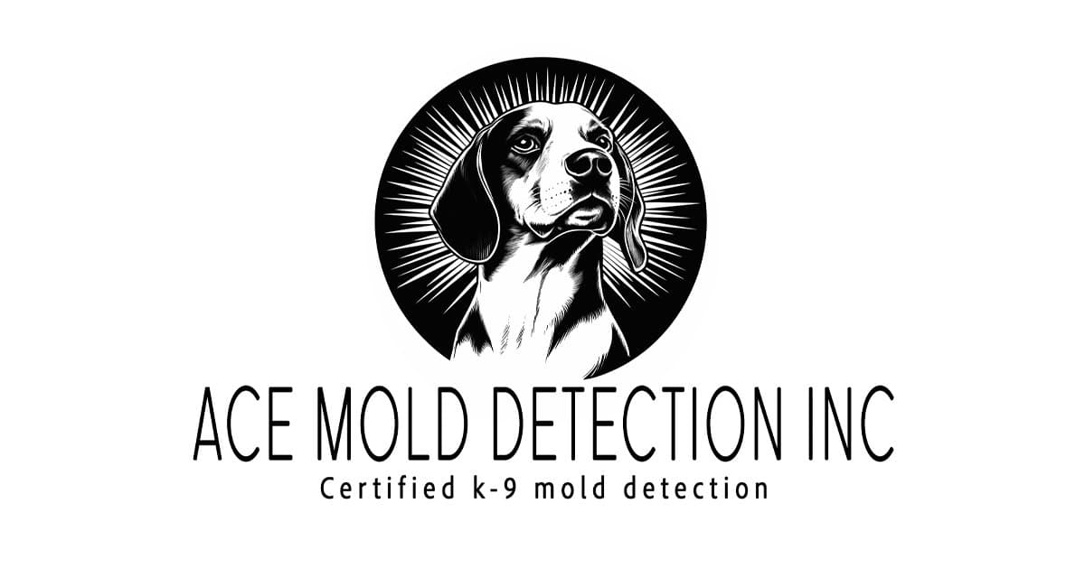 Ace Mold Detection